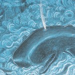 Detail-Grounding-Whale-in-Storm