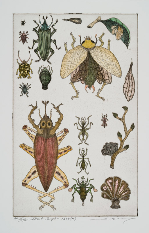 Insect Sampler