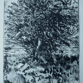 Churchyard with Highland Holly, 15x10, drypoint